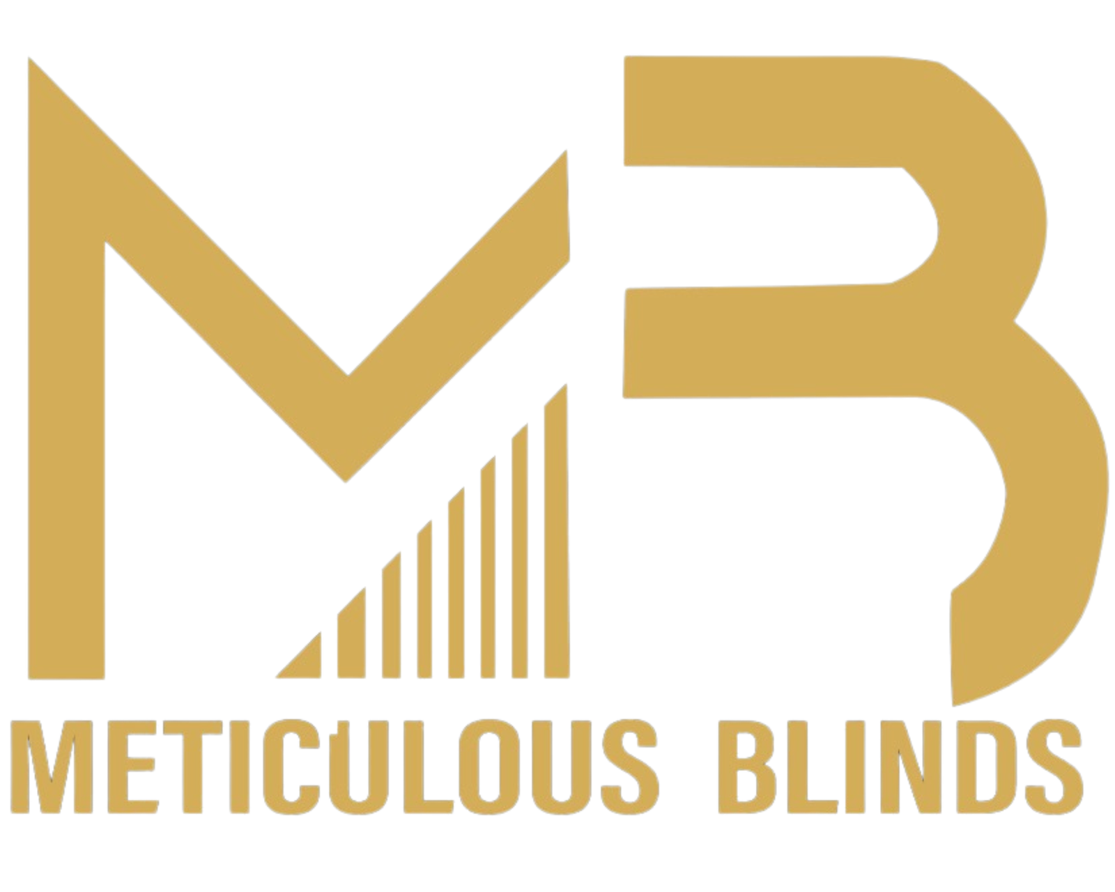 meticulous logo